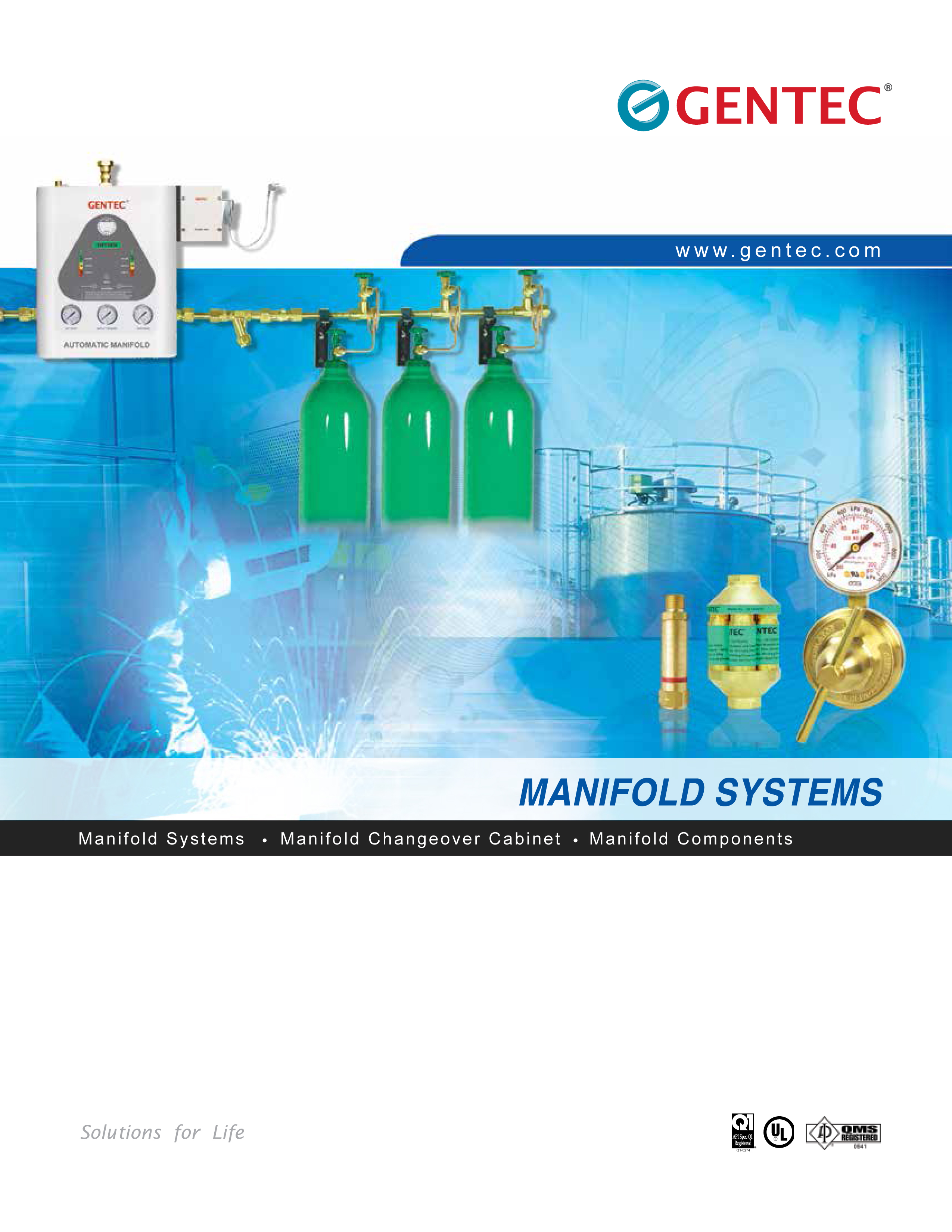 Manifold Systems.pdf